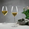 Superleggero Champagneglass 1-pakning