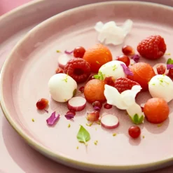 Tallerken Gastro 21 cm grå/rosa Bit
