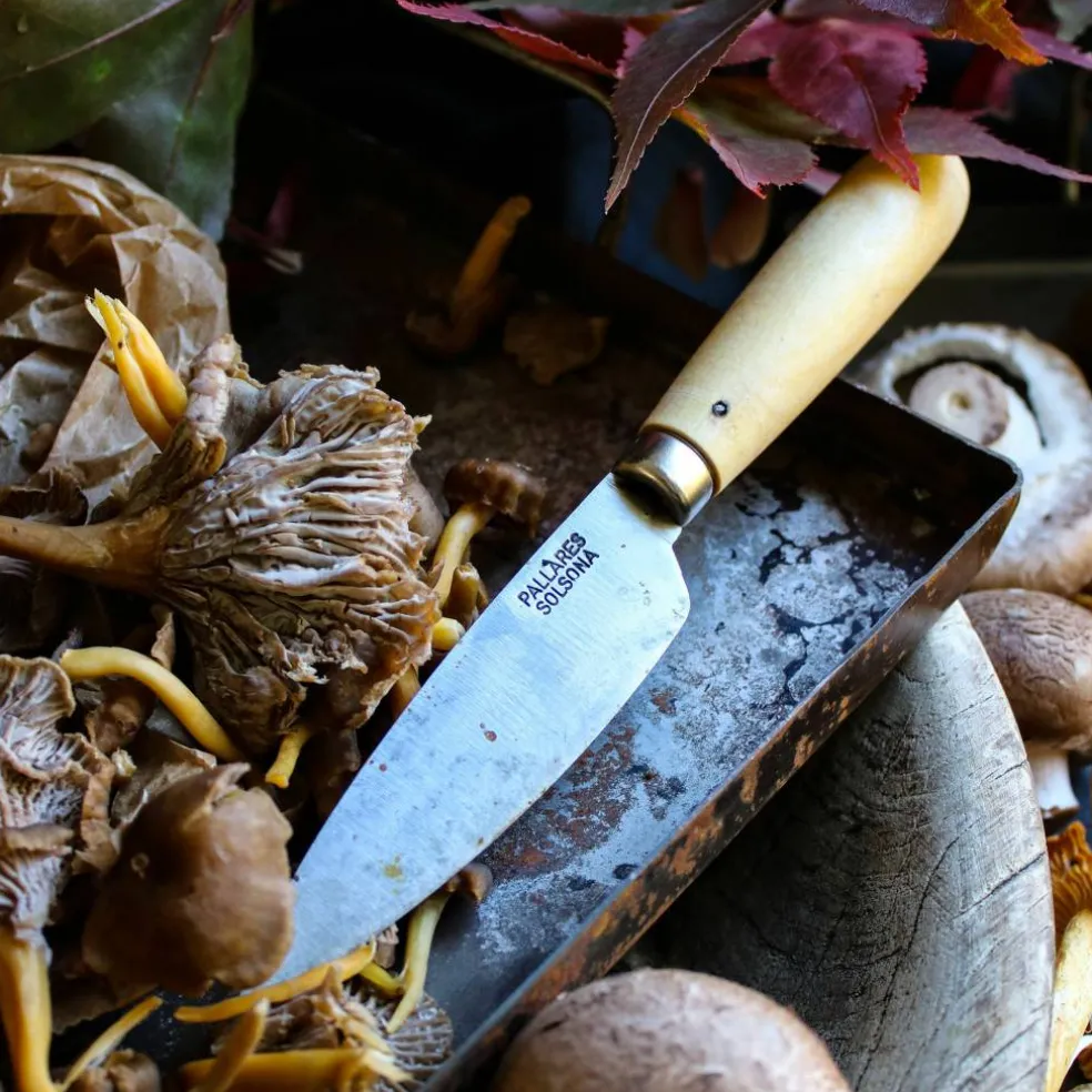 Tradisjonell Kjøkkenkniv 16 cm