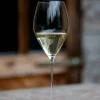 Veloce Sauvignon Blanc vinglass, 2-pakning