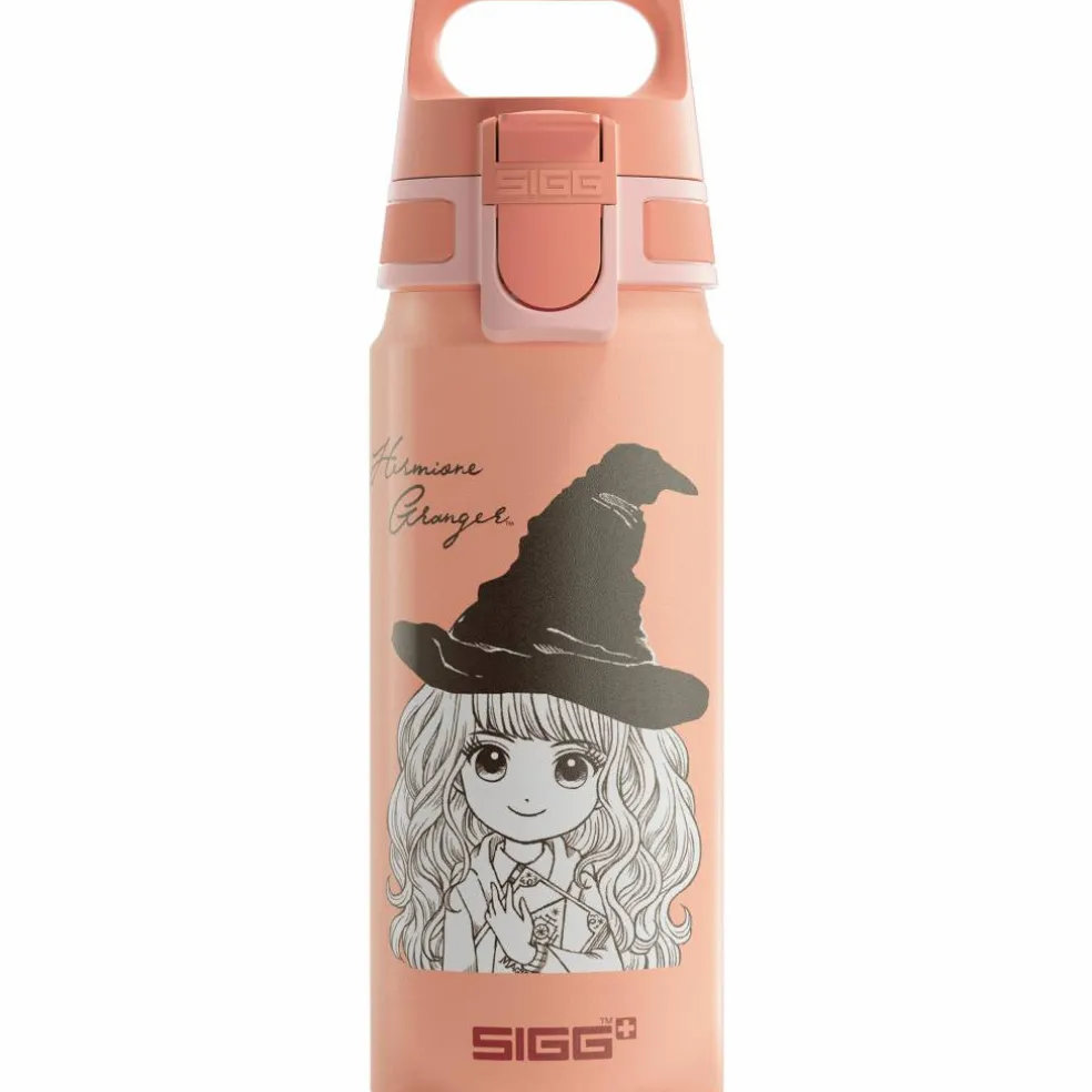 Warner Bros WMB ONE flaske 0,6 liter, Batman Action Blue