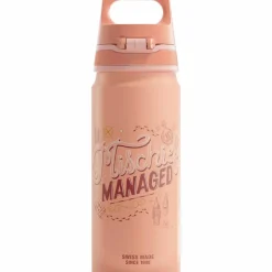 Warner Bros WMB ONE flaske 0,6 liter, Batman Action Blue