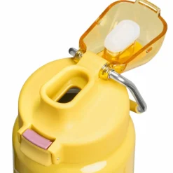 Wellspring isolert flaske 0,71 liter, dijon