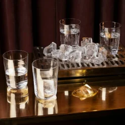 X Björn Frantzén vannglass 24 cl, 2-pakning